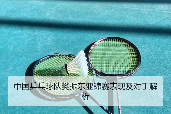 中国乒乓球队樊振东亚锦赛表现及对手解析